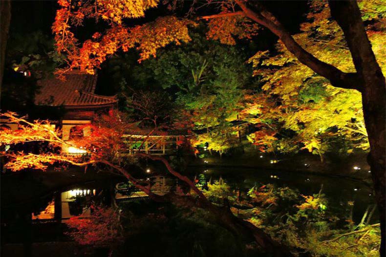 京都に紅葉を見に行ってきました！
